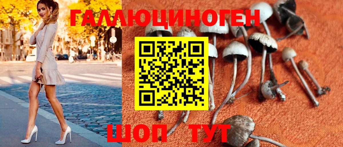 как найти   Вход с VPN  Людиново  Псилоцибиновые грибы мухоморы 